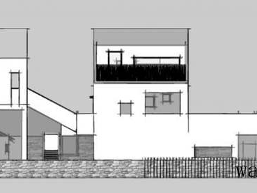 热带鱼金鱼哪个好养吗（热带鱼 金鱼哪个好养）