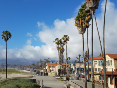 尔湾在美国哪个城市？尔湾在美国哪个城市地图？