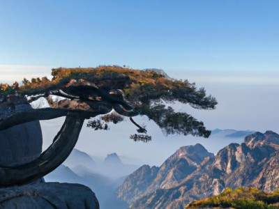 墙面用乳胶漆和墙纸哪个好？