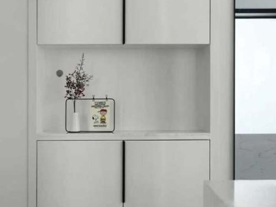 雏菊（雏菊花语是什么）