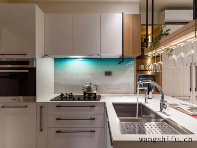 巴吉度及巴吉度犬：优秀的工作犬和家庭宠物