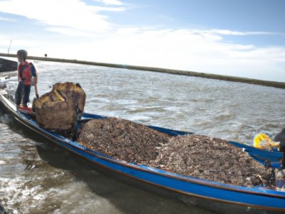 Sunor是什么品牌？Sunor品牌故事和产品介绍