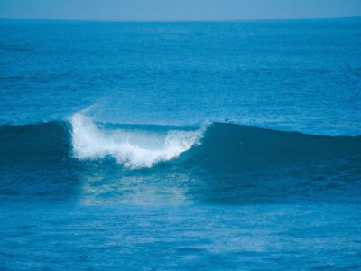 波浪板价格及选购指南