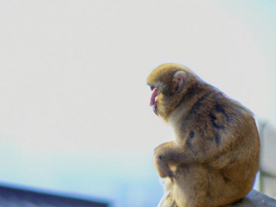 小偏方大全集——家庭常备的实用小妙招