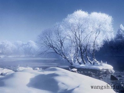 贪狼星在哪个位置（贪狼星在什么位置）