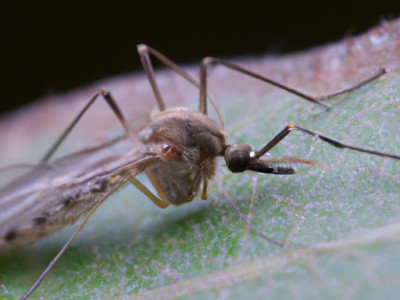 香河家具和宜家哪个（香河家具和宜家哪个好）