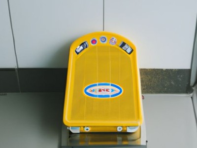 自动清洗马桶盖哪个牌子好？