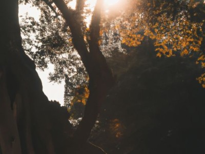 遮阳帘厂家直销，如何选择适合的遮阳帘？