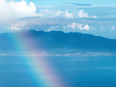 海虹——美味与营养并存的海洋珍品