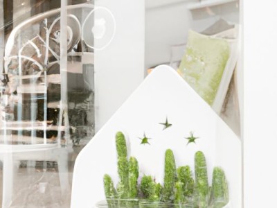 涂料的涂膜颗粒问题