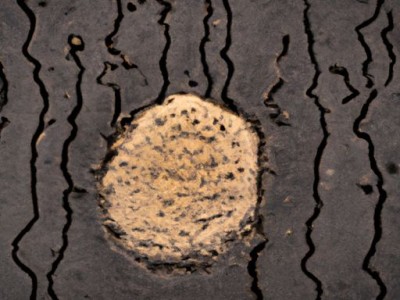 墙面涂料的正确选择方式：色彩这样搭配效果更好