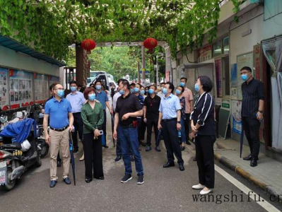 汉水桥街道开展“优化营商环境，推进项目建设”人大代表和政协委员联席活动