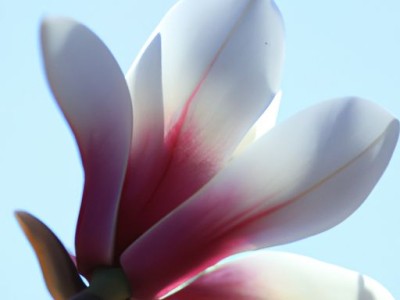 林内热水器和史密斯哪个好（林内热水器和史密斯哪个好一点）