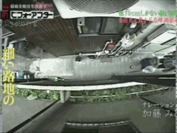 2023年一户一宅取消了吗