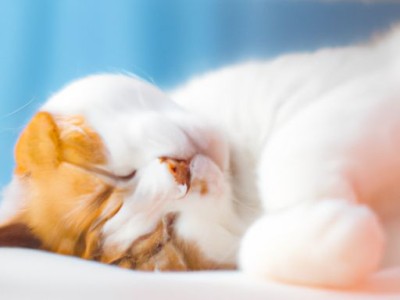 睡觉时应该选择哪种空调模式？