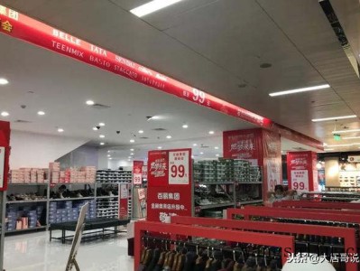 风兰（风兰花）