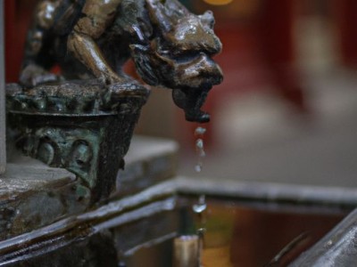 狮傲康足浴盆及售后服务电话 - 让您足不出户享受SPA般的足浴体验