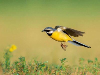 欧普浴霸如何？欧普浴霸质量怎么样？