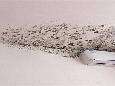 天花板发霉怎么处理