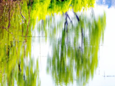  牛筋布和帆布哪个好？一文解答 