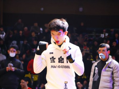 内存和固态哪个牌子好？浅谈内存和固态硬盘的品牌选择