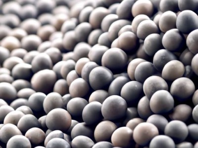 黑珍珠及黑珍珠餐厅的意思