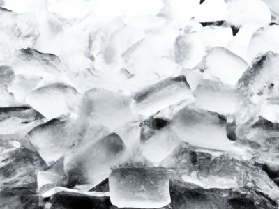 白掌（白掌的养殖方法和注意事项）