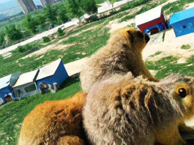 得房率是什么意思