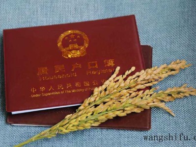 没有开盘的房子可以买吗