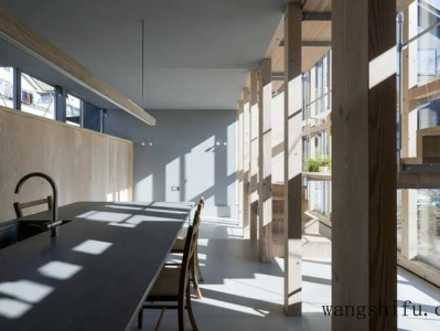 姬珊瑚（姬珊瑚的养殖方法和注意事项）