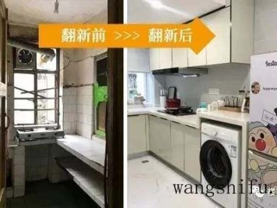 葱莲（葱莲的图片）