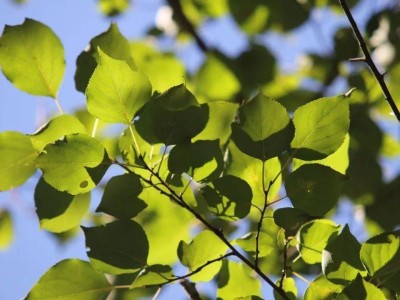 秋日壁纸 | 来自东师的秋季色卡