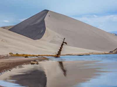 硅藻泥和壁纸哪个更环保？
