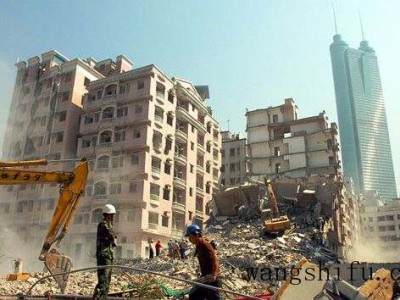 碧玉兰（碧玉兰花图片）