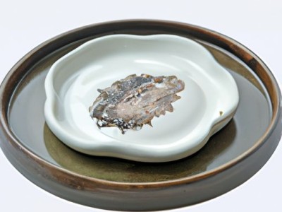 陶瓷洁具及陶瓷洁具十大品牌