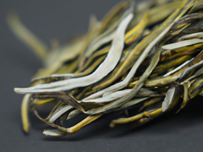 对家庭装修来说，硅藻泥是一种怎么神奇的存在？