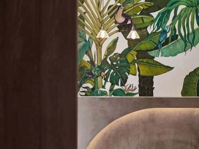 黄杨树和红继木哪个贵（黄杨木和红木哪个好）