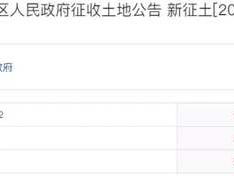 堵漏王成分（堵漏王成分是水泥吗）