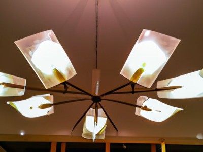 客厅吸顶灯的选择与10大品牌排行