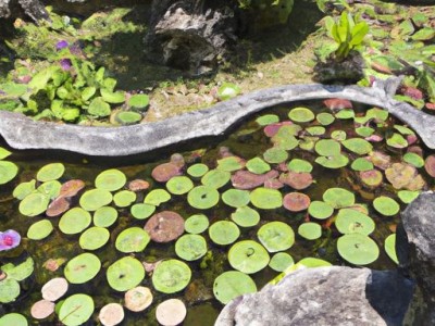 拖把池尺寸一般是多少？