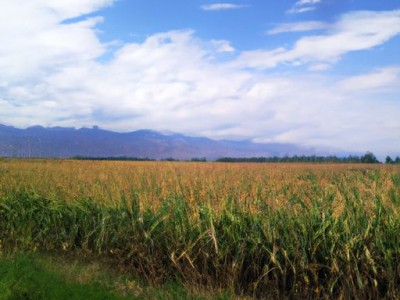 艾美艾家及艾美艾家居有限公司：家居行业的新风口