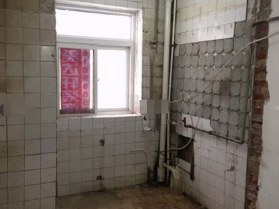 主体拆改（主体拆改项目包括哪些）