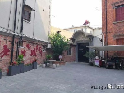 狗舌草（狗舌草的功效与作用图片）