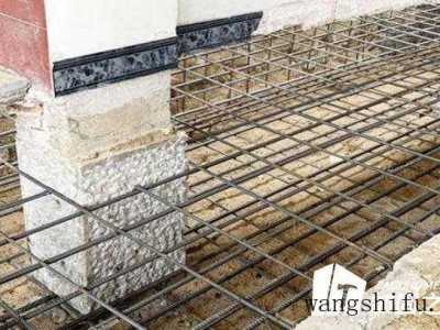 仙女杯（仙女杯的养殖方法和注意事项）