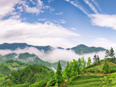 大益茶属于哪个茶区及大益茶属于哪个茶区的品牌