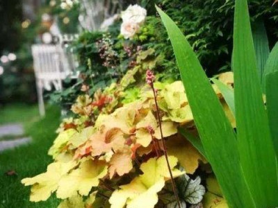 肌理涂料施工方法与注意事项