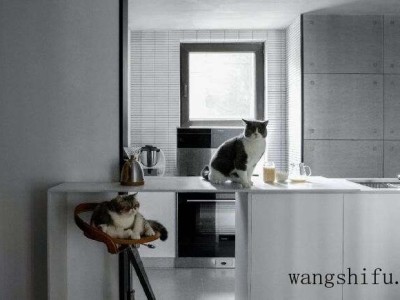 单向玻璃的特点及价格