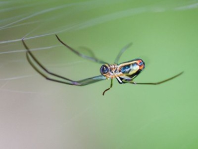 二手房墙面翻新注意事项都有哪些