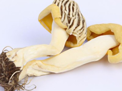 黄玉髓的功效和作用：从文化、医学、装饰、风水四个方面阐述