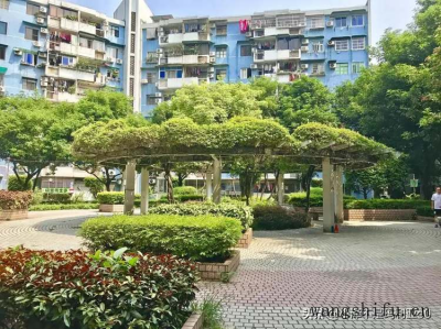 子母门：尺寸标准与应用